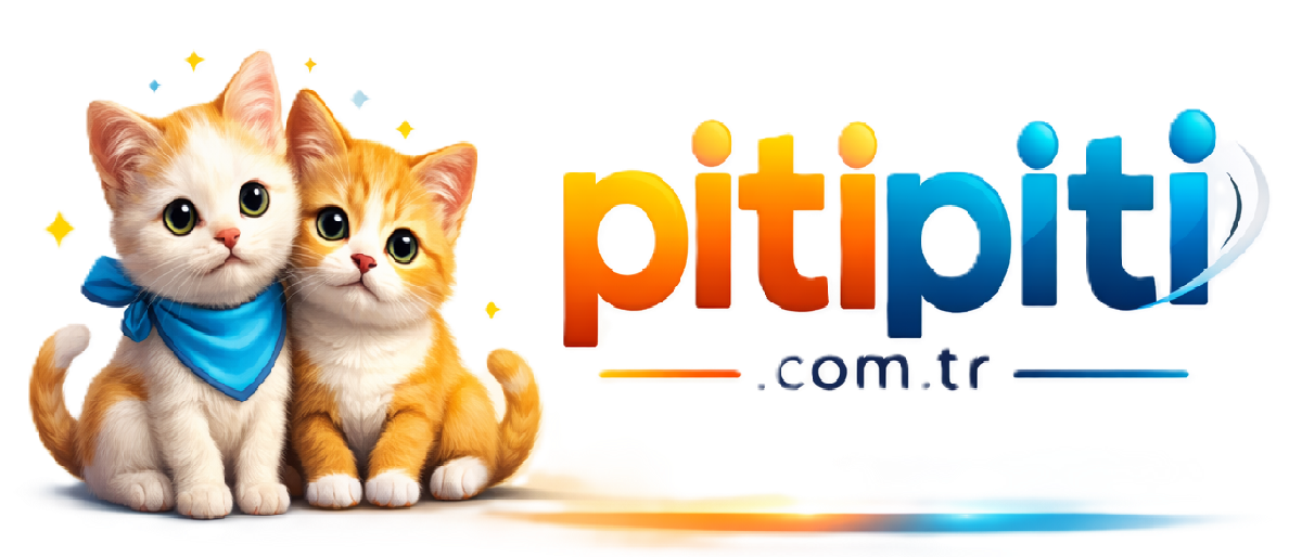 PitiPiti.com.tr